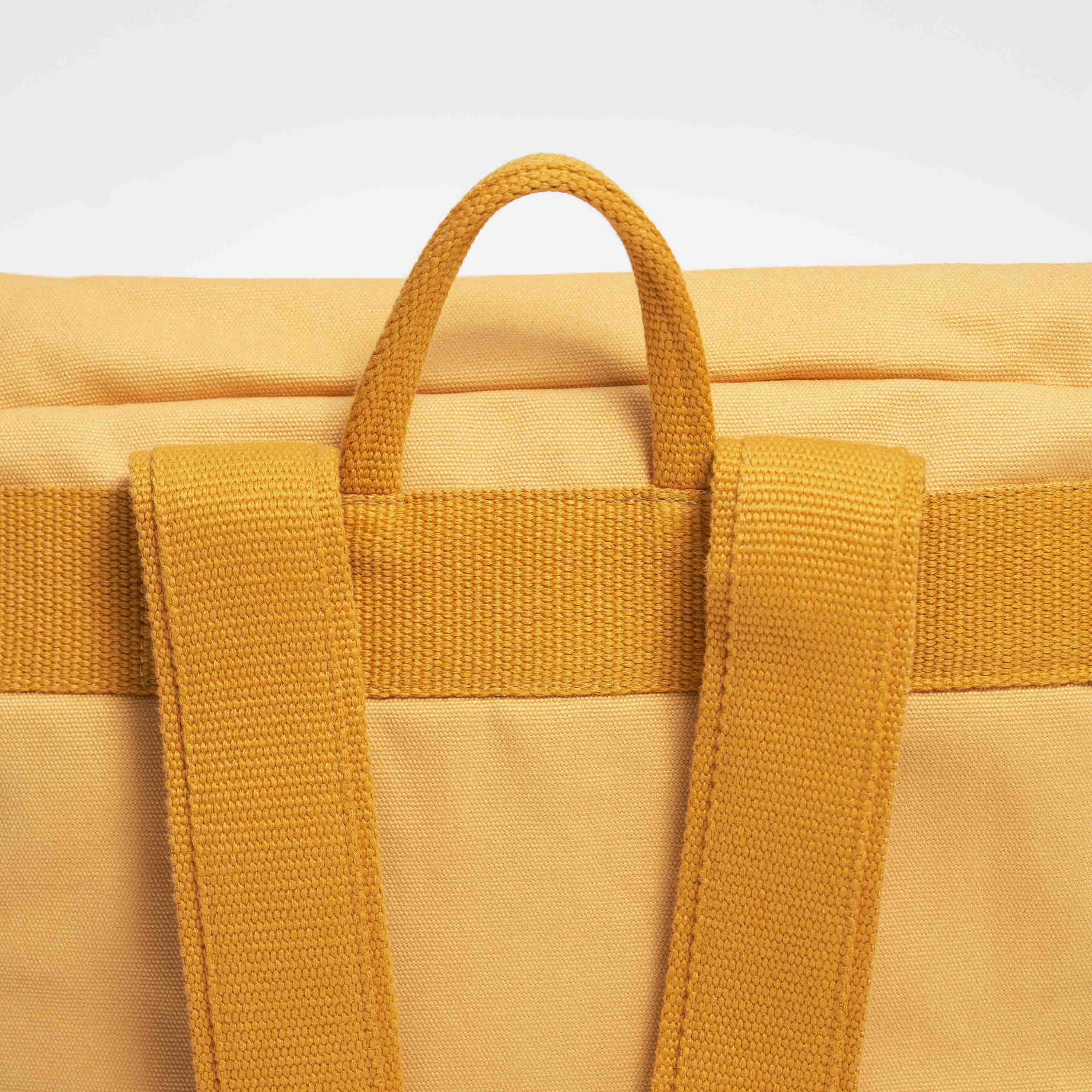#farbe_mustard yellow