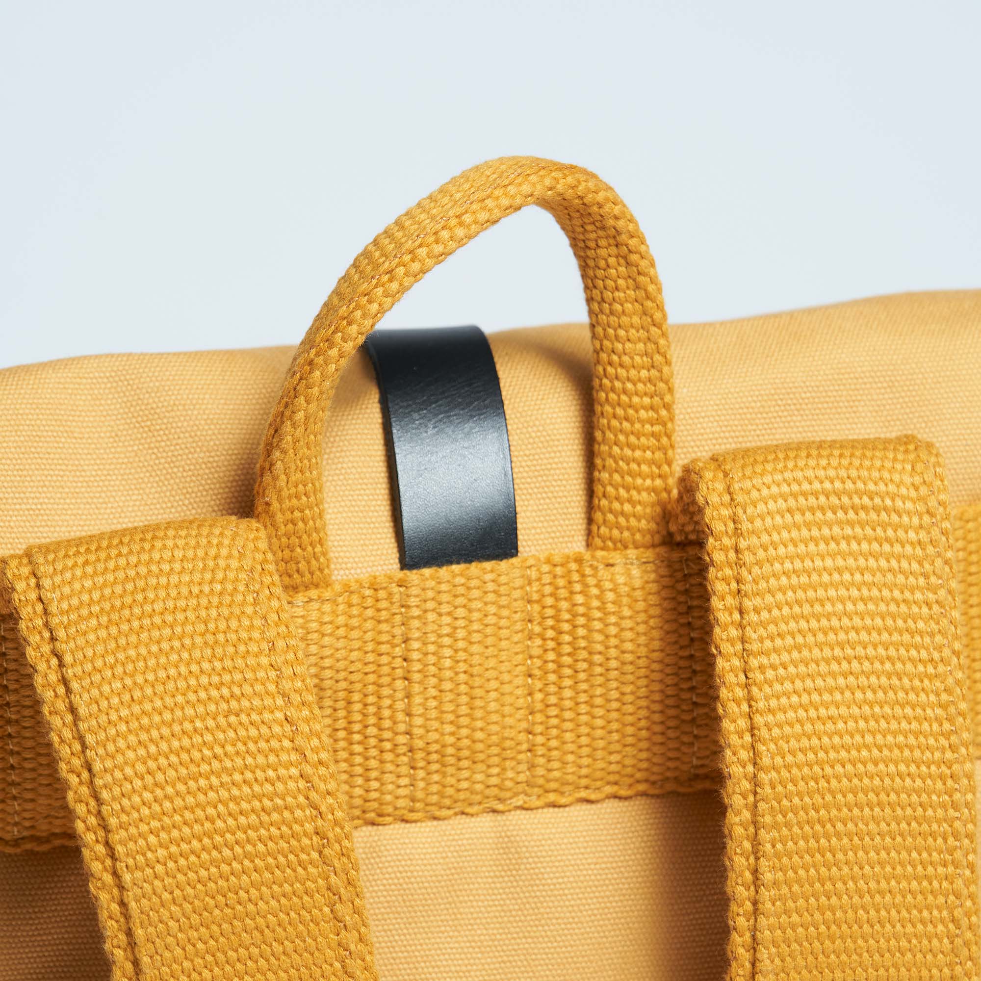 Mustard Yellow