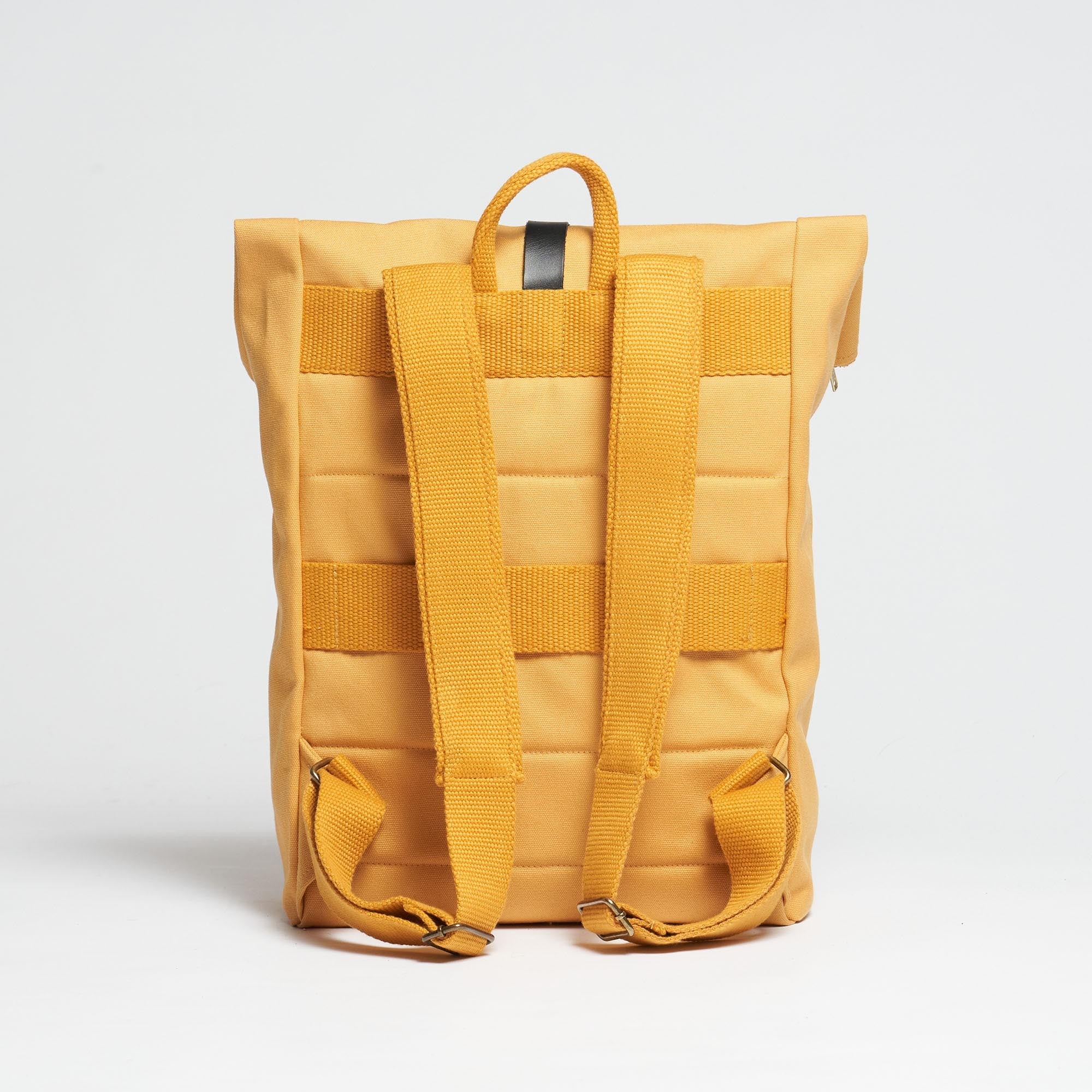 Mustard Yellow